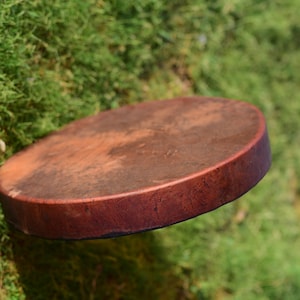 May include: A round, brown wooden frame drum with a dark brown leather head. The drum is suspended in mid-air against a background of green moss.