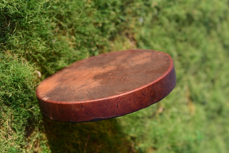 May include: A round, brown wooden frame drum with a dark brown leather head. The drum is suspended in mid-air against a background of green moss.