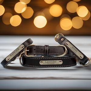 Personalized Leather Dog Collar, Engraved Dog Collar, Custom Dog Collar with Name Plate, Leather Dog Collar, Personalized Dog Collar