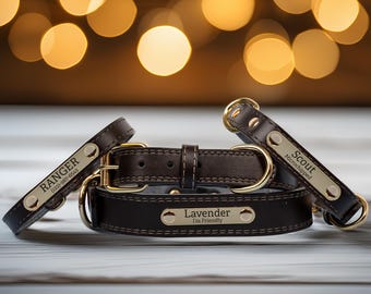 Leather Dog Collar, Personalized Dog Collar, Personalized Leather Dog Collar, Engraved Leather Dog Collar, Custom Dog Collar with Name Plate