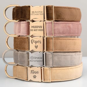 Multiple Colour Velvet Personalise Dog Collar Leash Set with Bow, Engraved Pet Name Plate Metal Buckle, Grey+Beige+Choco, Wedding Puppy Gift