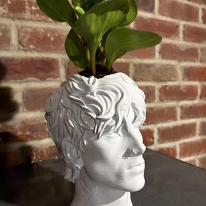 Maceta de Machine Gun Kelly