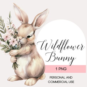 Bunny Clipart, Cute Bunny PNG, Rabbit, Digital Download Clipart - High Resolution, Easter Card and Wall Art, Personal and Commercial Use