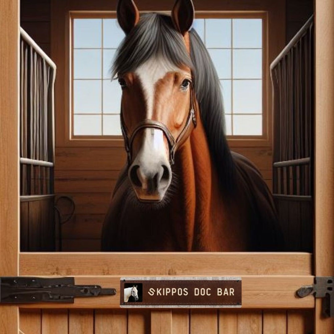 Personalized Horse Stall Sign for Stables, Horse Shows and More - Etsy