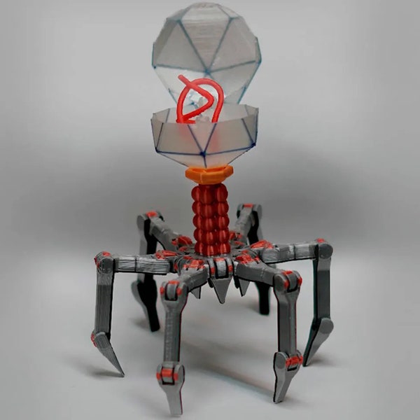 Flexi Bacteriophage T4 - Phage T4