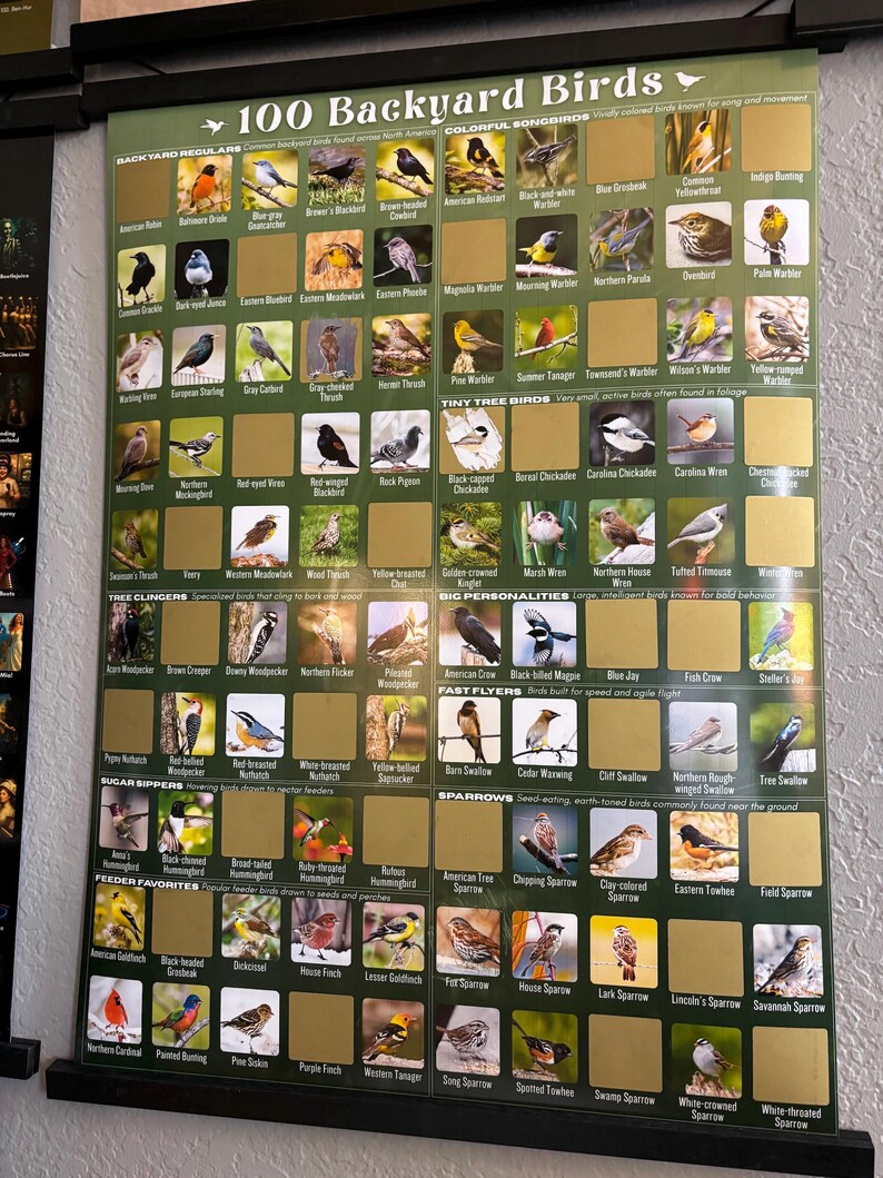 May include: A green poster titled 100 Backyard Birds featuring a grid of bird illustrations with gold scratch-off squares. The poster is organized into categories like Backyard Regulars, Tiny Tree Birds, and Sparrows, with text labels for each bird.