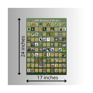 May include: A rectangular poster titled 100 Backyard Birds featuring a grid of small bird illustrations on a dark green background. The poster measures 24 inches in height and 17 inches in width, with black arrows indicating these dimensions.