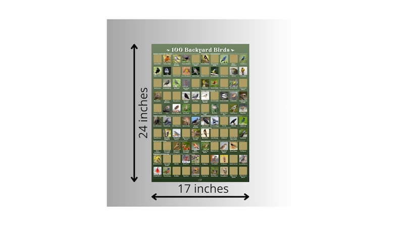 May include: A rectangular poster titled 100 Backyard Birds featuring a grid of small bird illustrations on a dark green background. The poster measures 24 inches in height and 17 inches in width, with black arrows indicating these dimensions.