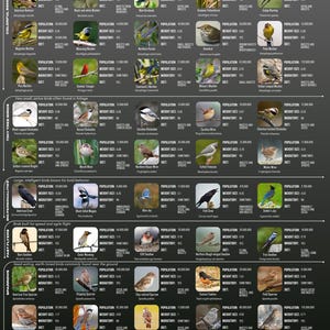 May include: A dark gray educational poster titled 100 Backyard Birds, featuring a grid of bird photographs categorized by type. Each entry includes the bird name, scientific name, population, weight in ounces, migratory status, and diet details.