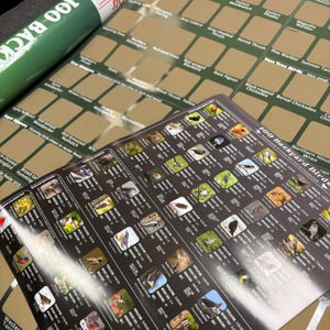 May include: A 100 Backyard Birds scratch-off poster with a green background and gold foil squares, accompanied by a smaller, detailed reference guide featuring color photographs of various bird species, their population, weight, and migratory status.