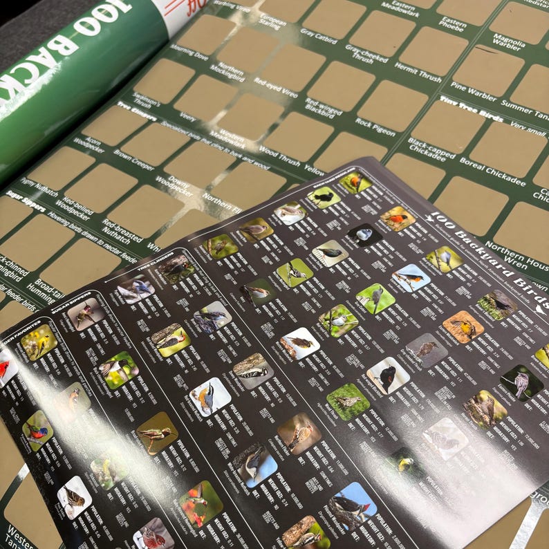 May include: A 100 Backyard Birds scratch-off poster with a green background and gold foil squares, accompanied by a smaller, detailed reference guide featuring color photographs of various bird species, their population, weight, and migratory status.