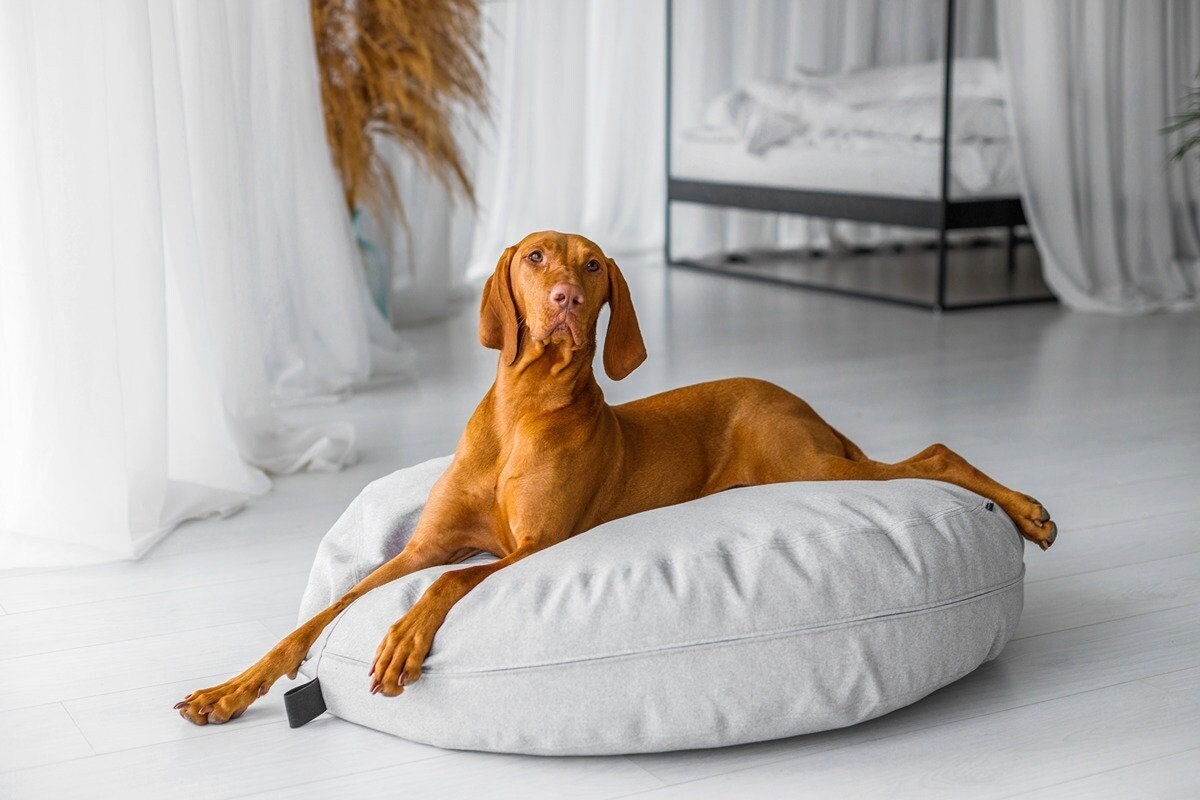 Dog pouf bed sale