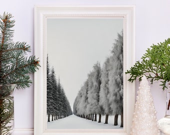 Árboles del país de las maravillas invernales - Impresión, papel pintado, decoración navideña