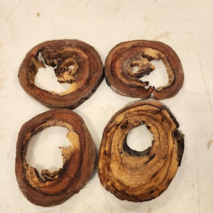 Puede incluir: Cuatro posavasos circulares de madera con un aspecto natural y rústico. Cada posavasos es una sección transversal de una rama de árbol, con un agujero en el centro y variaciones de color.