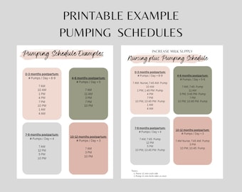 Breastfeeding and Pumping Log WITH Example Schedules & BONUS