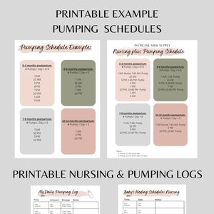 May include: Printable charts and logs for tracking breastfeeding and pumping schedules. The charts include sample schedules for different stages of postpartum, from 0-3 months to 10-12 months. The logs are designed for recording pumping sessions and baby's feeding schedule.