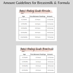 Breastfeeding and Pumping Log WITH Example Schedules & BONUS zdjęcie 6