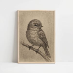 Bird Pencil Drawing Wall Art – Detailed Graphite Sketch of Songbird on Branch, Minimalist Nature Print for Rustic or Vintage Home Decor