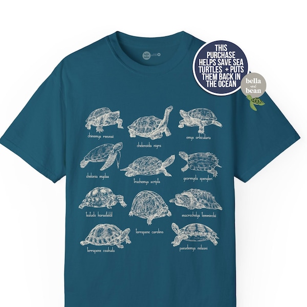 T-shirt types de tortues t-shirt pour l'amour des tortues tortues différentes protection protection conservation joli t-shirt couleurs confort