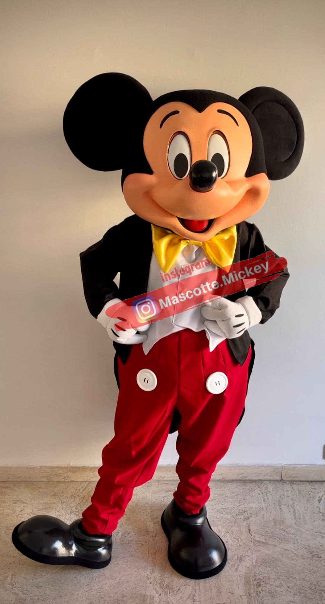 MINNIE MAUS Micky Mickey Minni Mouse Disnay Kostüm Damen Kinder