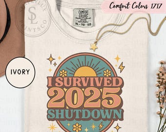 I Survived 2025 Shutdown Tee, Chaos Coordinator Shirt, Funny Graphic T-Shirt, Relatable Humor Top, Sarcastic Gift