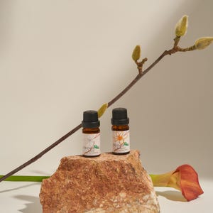 May include: Two small amber glass bottles with black caps are displayed on a textured, reddish-brown rock. The bottles have white labels with floral designs and the word "FRANGIPANI". A branch with buds and a calla lily are also in the image.