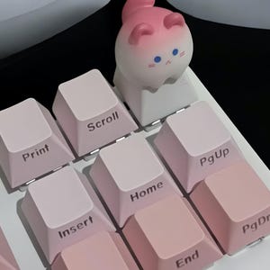 May include: A pink keyboard with white keycaps and pink and white keycaps with the words "Print", "Scroll", "Home", "PgUp", "Insert", "End", and "PgDn" printed on them. A pink cat figurine is on top of the keyboard.