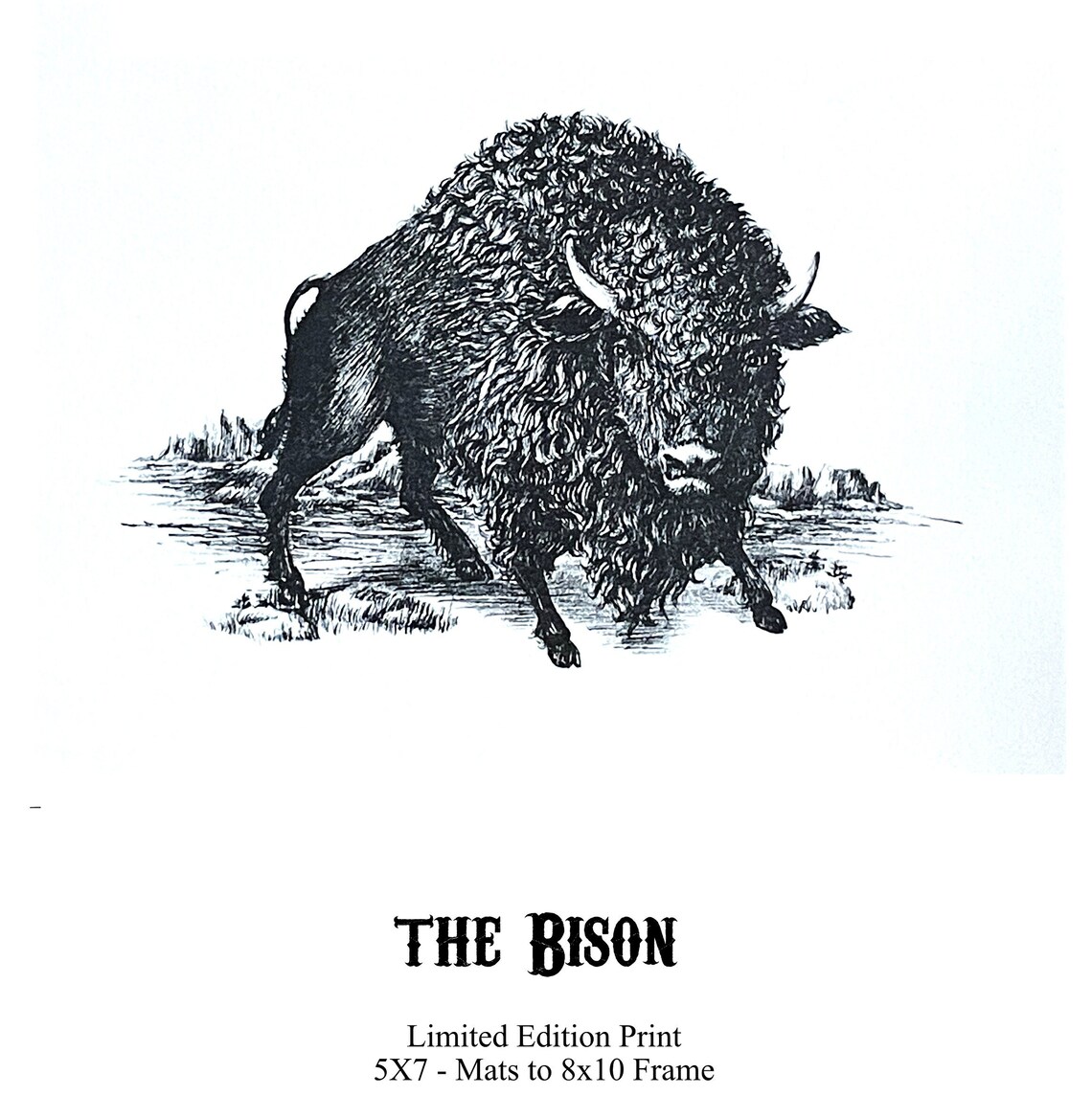 THE BISON, Buffalo, Native American Staple, 5x7, Mats to 8x10, Limited