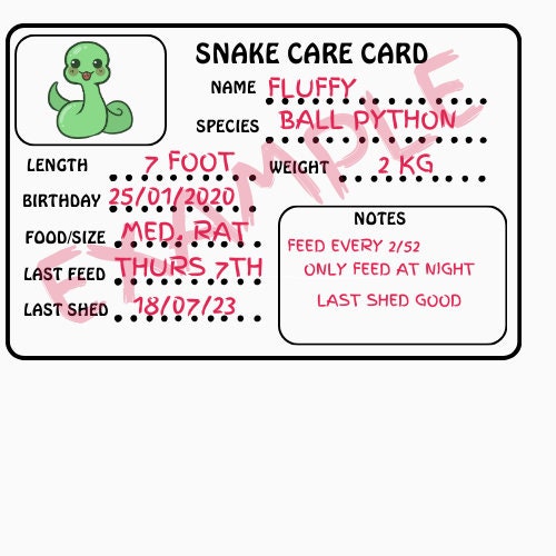 Curated visual reference: Snake Feeding Charts And Tables Reference: Snake Care Feeding Chart Digital Download Pet Care Planner