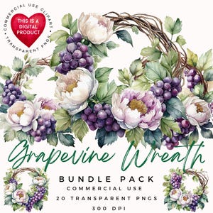 Clipart ghirlanda di vite / Clipart uva / Clipart frutta / PNG di alta qualità / Scrapbooking / Diario spazzatura / Artigianato di carta / Ephemera / PNG