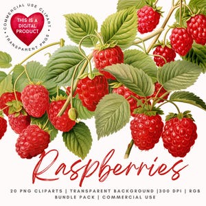 Clipart z malinami | PNG z malinami | Clipart z owocami | Wysokiej jakości PNG | Scrapbooking | Dziennik śmieci | Rękodzieło papierowe | Ephemera | Wykorzystanie komercyjne
