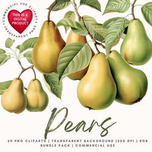 Clipart aquarel peren: 20 png-fruitafbeeldingen, commercieel gebruik (digitale download)
