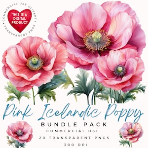 Clipart di papaveri islandesi rosa / Clipart di fiori ad acquerello / PNG di alta qualità / Scrapbooking / Lavori di carta / Diario di spazzatura / Effimere floreali
