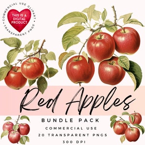 Apfel Clipart | Obst Clipart | Hochwertige PNGs | Scrapbooking | Papiermodelle | Junk Journal | Ephemera | Kommerzielle Nutzung