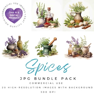 Clipart épices | Herbes et épices | Herbes en pots | Images JPG de haute qualité | Scrapbooking | Journal indésirable | Éphémères | Créations en papier | Utilisation commerciale