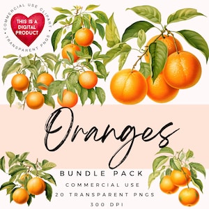 Orangen Clipart | Orange PNG | Obst Clipart | Hochwertige PNGs | Scrapbooking | Papiermodelle | Junk Journal | Ephemera | Kommerzielle Nutzung