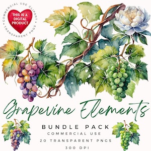 Elementos de la vid / Imágenes prediseñadas de la vid / Imágenes prediseñadas de uvas / PNG de alta calidad / Scrapbooking / Diario basura / Manualidades de papel / Uso comercial