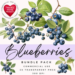 Blaubeeren Clipart | Blaubeere PNG | Obst Clipart | Hochwertige PNGs | Scrapbooking | Papierkunst| Junk Journal | Ephemera| Kommerzielle Nutzung