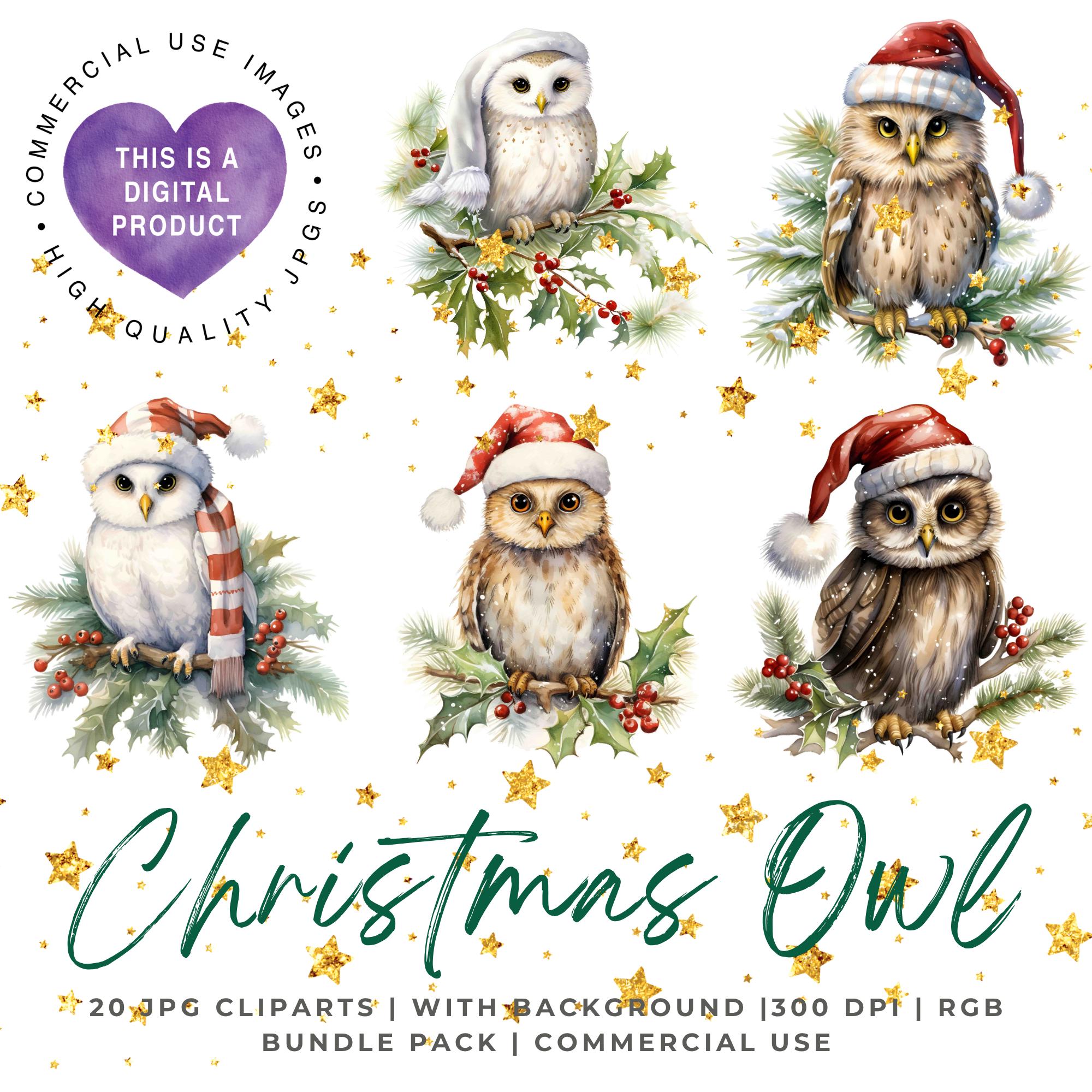 Christmas Owl JPG Clipart Bundle, Commercial Use, Digital Download