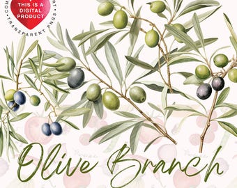 Olive Branch Clipart Bundle, Commercial Use, Digital Download PNG, Transparent Background