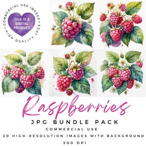 Himbeeren Clipart | Obst Clipart | Essen Drucke | Hochwertige JPGs | Scrapbooking | Junk Journal | Papiermodell |Ephemera | Kommerzielle Nutzung