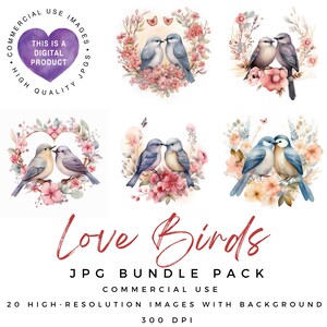 Imágenes prediseñadas de pájaros enamorados / Pájaros lindos / Imágenes prediseñadas de San Valentín / Pájaros enamorados / JPG de alta calidad / Scrapbooking / Manualidades de papel / Diario basura