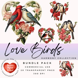 Clipart Couple d'oiseaux | Clipart Saint-Valentin | Clipart animaux | PNG de haute qualité | Scrapbooking | Journal indésirable | Créations en papier | Éphémères