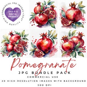 Granatapfel Clipart | Obst Clipart | Essen Clipart | Hochwertige JPGs | Scrapbooking | Junk Journal | Ephemera |Kommerzielle Nutzung