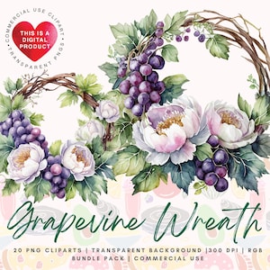 Grapevine Watercolor Clipart Bundle, Commercial Use, Digital Download PNG, Transparent Background