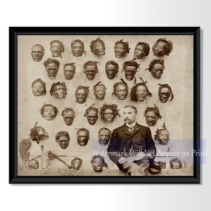 Major Horatio Gordon Robley Photo Print - 1895 Maori Tattooed Heads ...