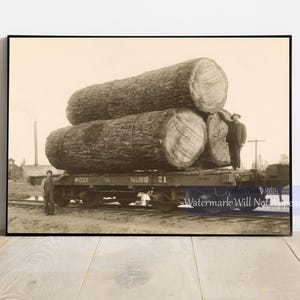Vintage Logging Photo Print - Early 1900s Men with Large Logs on Train Car, Giclée Fine Art Print