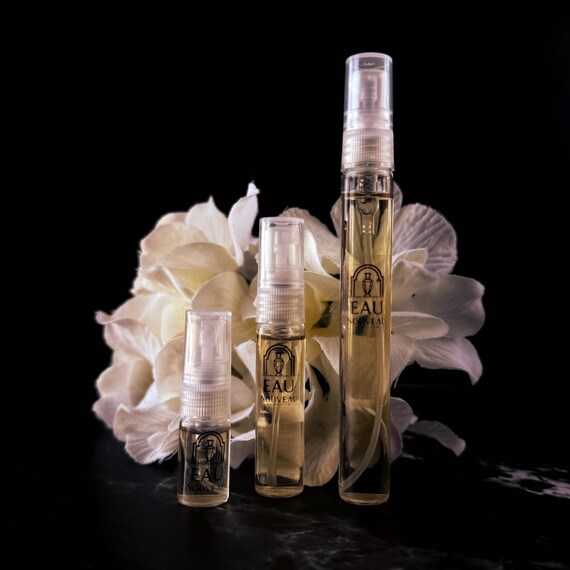 Born Dreamer Charli D'Amelio | 2ml, 5ml, or 10ml Curated Perfume Sample