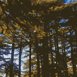 Rustic Cedar Woodland Art: Vintage Nature Prints - Instant Download Posters