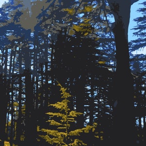 Iconic Cedars of Lebanon: Emblematic Nature Art - Instant Download Posters